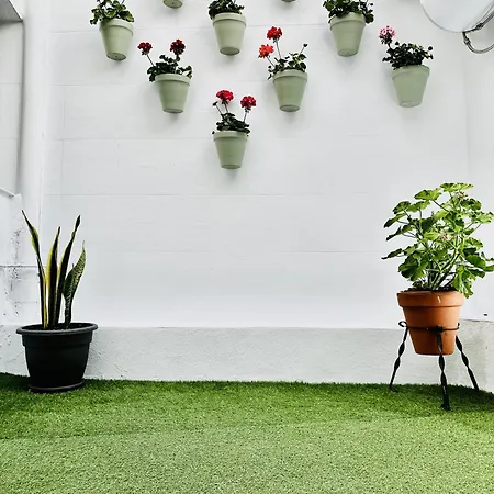 Blue & Green Apartamento *